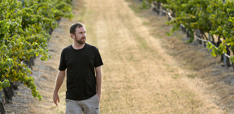 chardonnay-adrian-sparks-article.jpg chardonnay-adrian-sparks-article.jpg