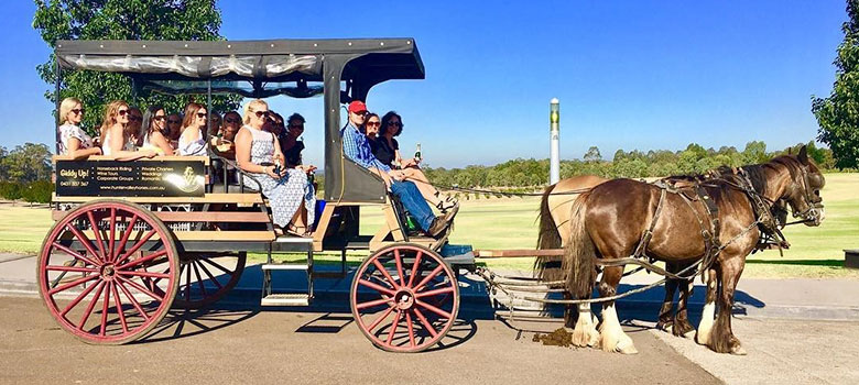 hvt-horse-riding-article.jpg hvt-horse-riding-article.jpg