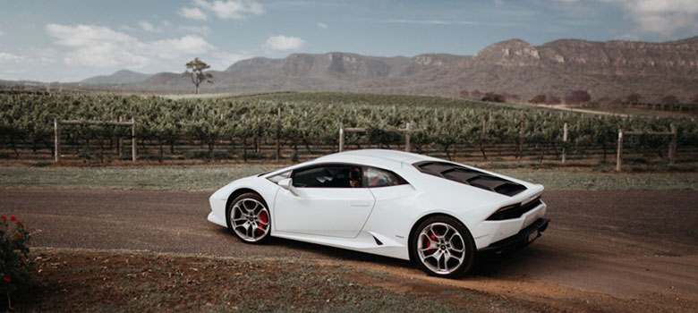 hvt-prancing-horses-article.jpg hvt-prancing-horses-article.jpg
