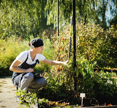 JulAug18-Canberra-article-sq3.jpg JulAug18-Canberra-article-sq3.jpg