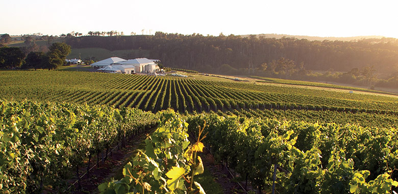 Bay-of-Fires-vineyard.jpg Bay-of-Fires-vineyard.jpg