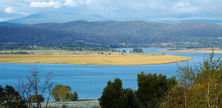 Tamar-Ridge.jpg Tamar-Ridge.jpg