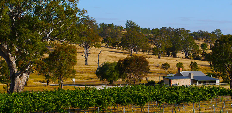 Eden-valley-article6.jpg Eden-valley-article6.jpg