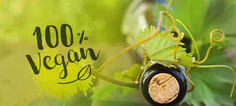trents-vegan-article.jpg trents-vegan-article.jpg