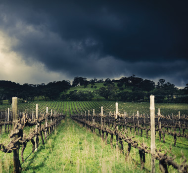 JulAug19-McLarenVale-ArtSq3.jpg JulAug19-McLarenVale-ArtSq3.jpg