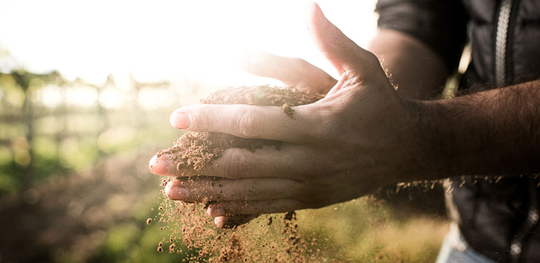 carbon-neutral-article-taylors.jpg carbon-neutral-article-taylors.jpg