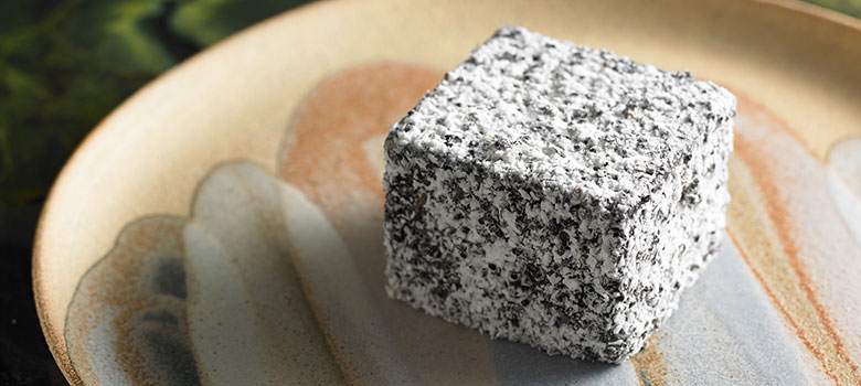 Black-Ant-Lamington-780x350.jpg Black-Ant-Lamington-780x350.jpg