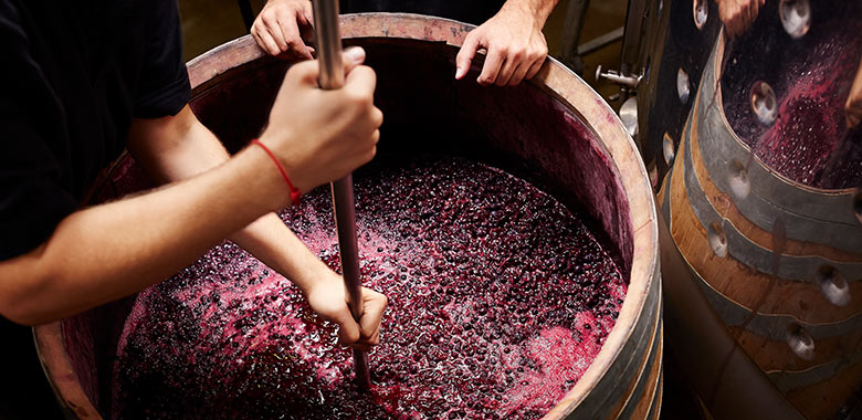vegan-wine-article-2.jpg vegan-wine-article-2.jpg
