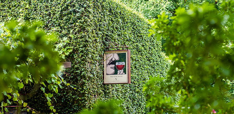 yalumba-article.jpg Greenery and landscape grounds of the Yalumba winery in the Barossa Valley