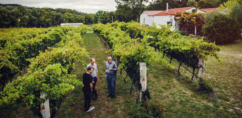 Granite Belt Boireann Winery