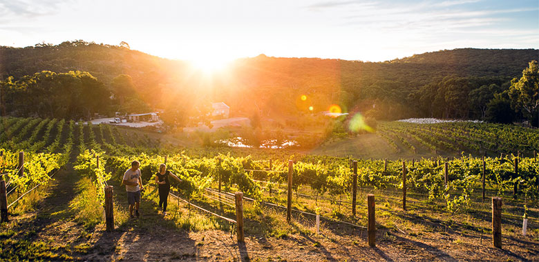 adelaide-cellardoor-deviation-article.jpg adelaide-cellardoor-deviation-article.jpg