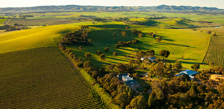 Two hands boutique barossa winery