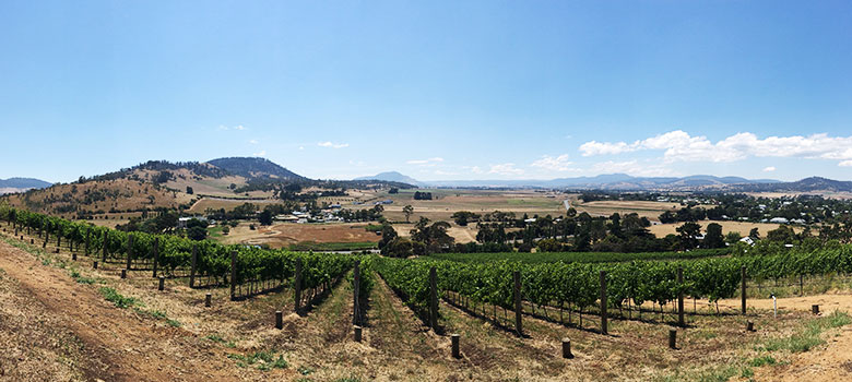 Tasmanian cellar door guide bay of fires